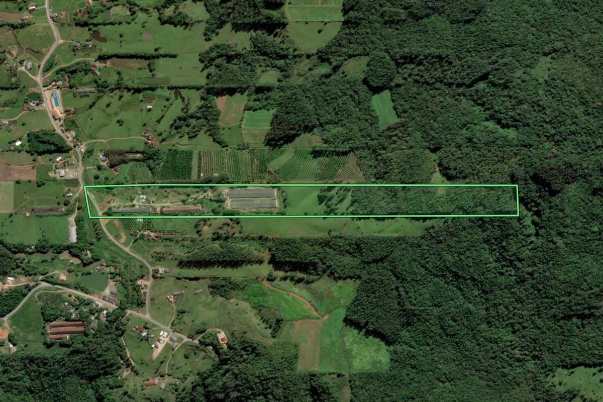Imagem de satélite do imóvel rural em Orleans (SC), com o contorno declarado no CAR desenhado por cima.