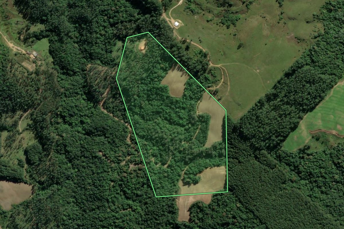 Imagem de satélite do imóvel rural em Orleans (SC), com o contorno declarado no CAR desenhado por cima.