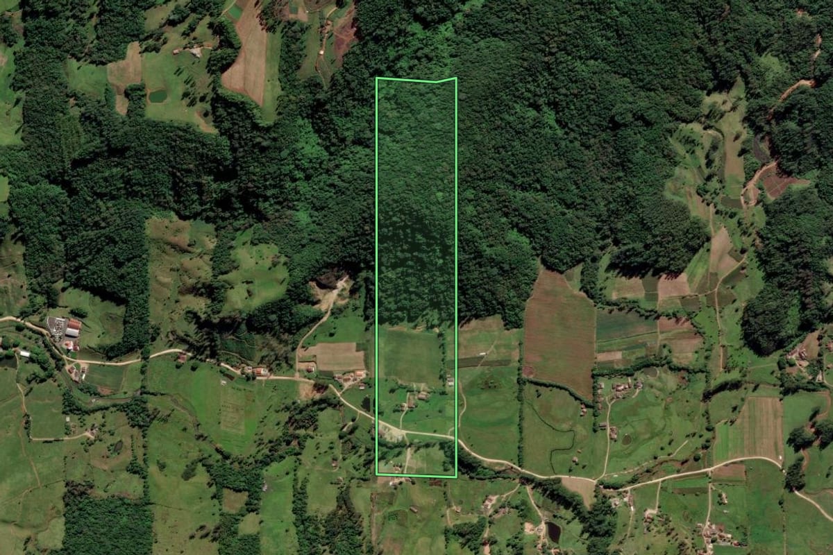Imagem de satélite do imóvel rural em Orleans (SC), com o contorno declarado no CAR desenhado por cima.