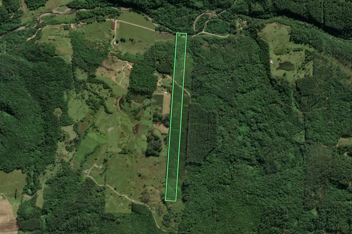 Imagem de satélite do imóvel rural em Orleans (SC), com o contorno declarado no CAR desenhado por cima.