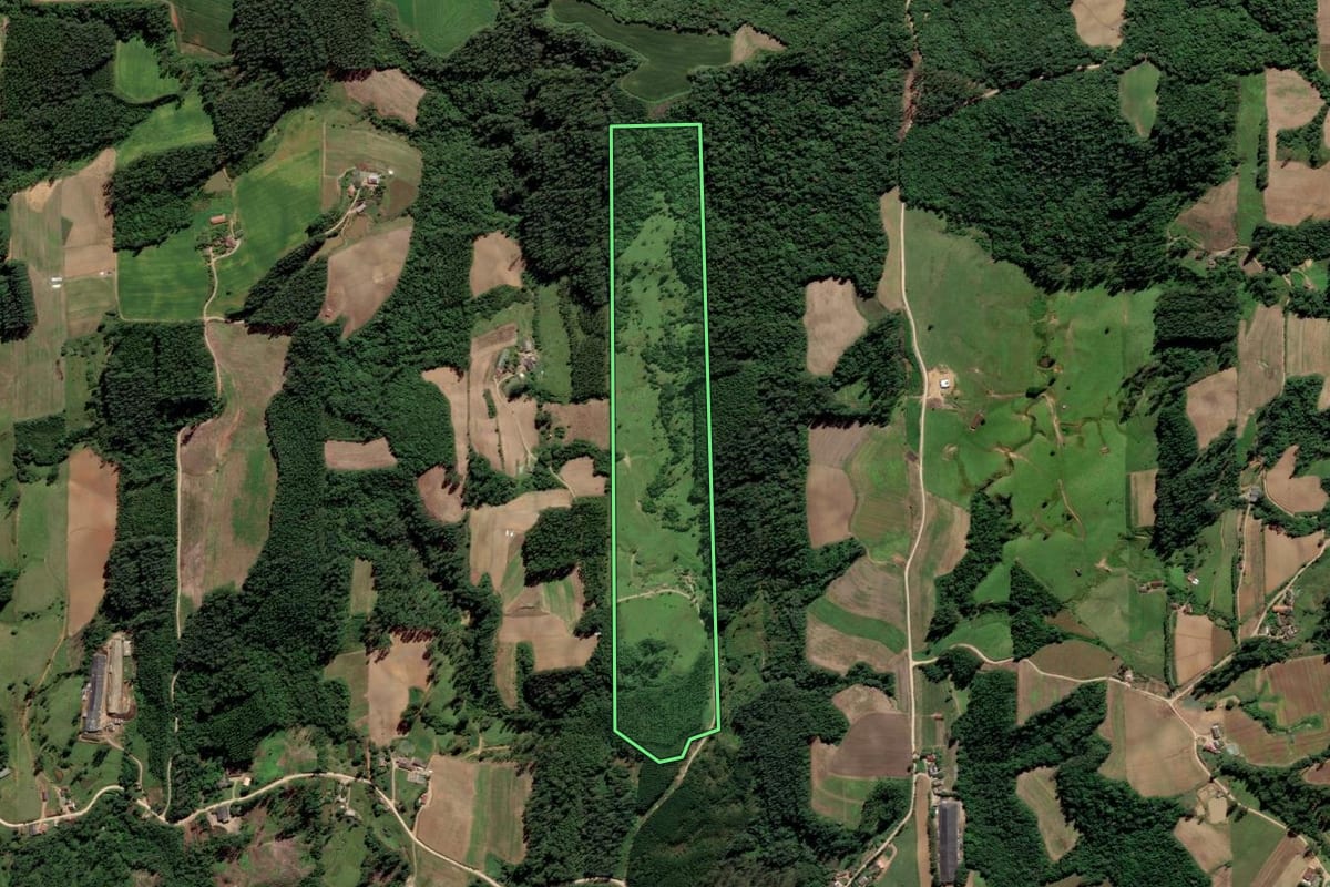 Imagem de satélite do imóvel rural em Orleans (SC), com o contorno declarado no CAR desenhado por cima.