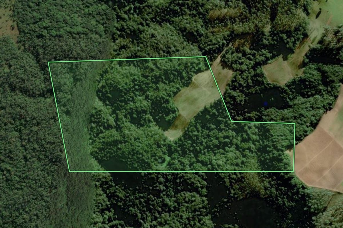 Imagem de satélite do imóvel rural em Orleans (SC), com o contorno declarado no CAR desenhado por cima.