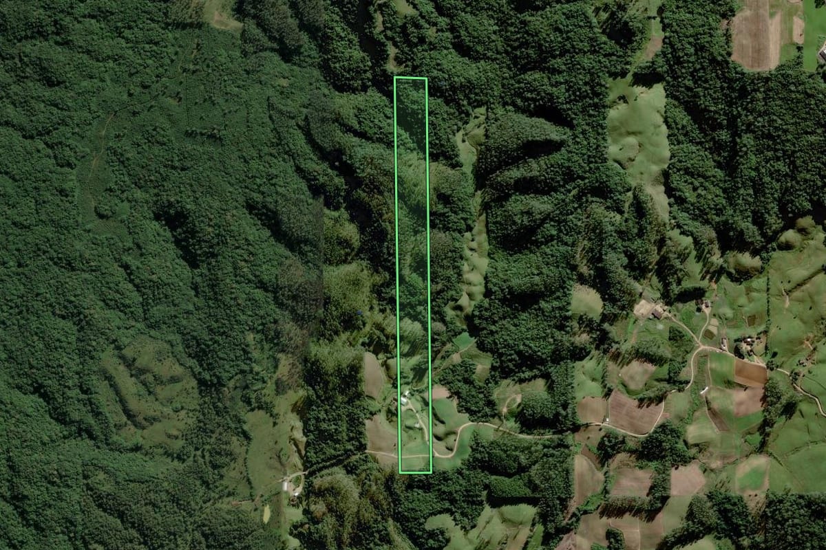 Imagem de satélite do imóvel rural em Orleans (SC), com o contorno declarado no CAR desenhado por cima.