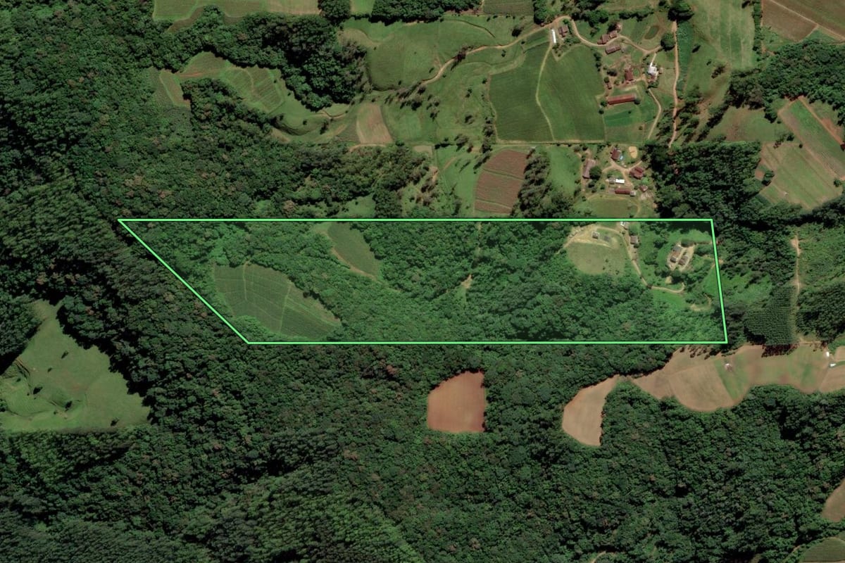 Imagem de satélite do imóvel rural em Orleans (SC), com o contorno declarado no CAR desenhado por cima.
