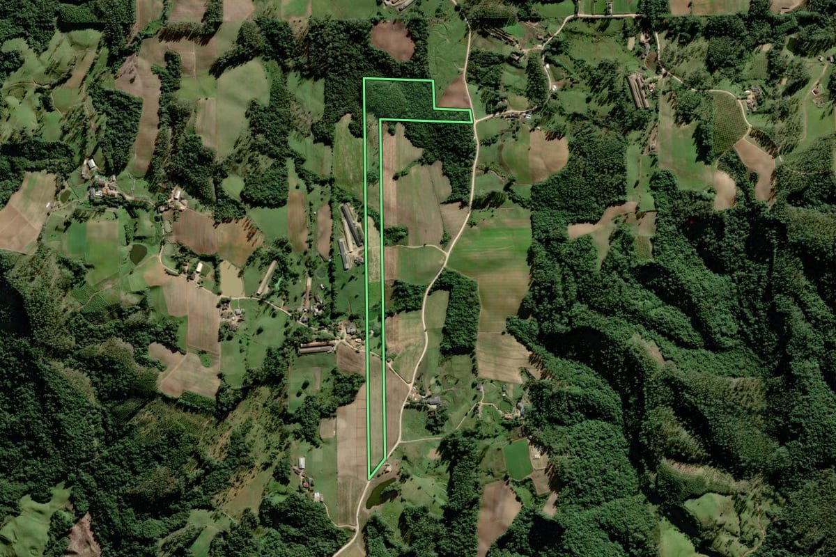 Imagem de satélite do imóvel rural em Orleans (SC), com o contorno declarado no CAR desenhado por cima.