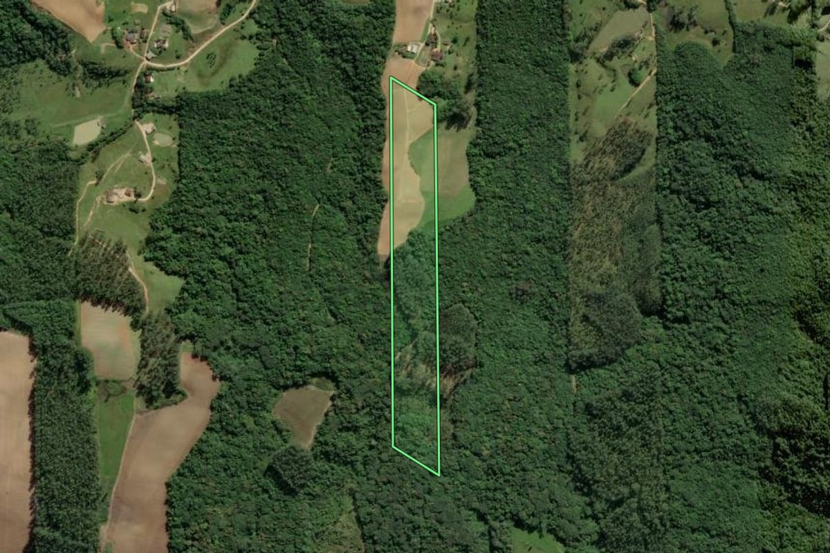 Imagem de satélite do imóvel rural em Orleans (SC), com o contorno declarado no CAR desenhado por cima.