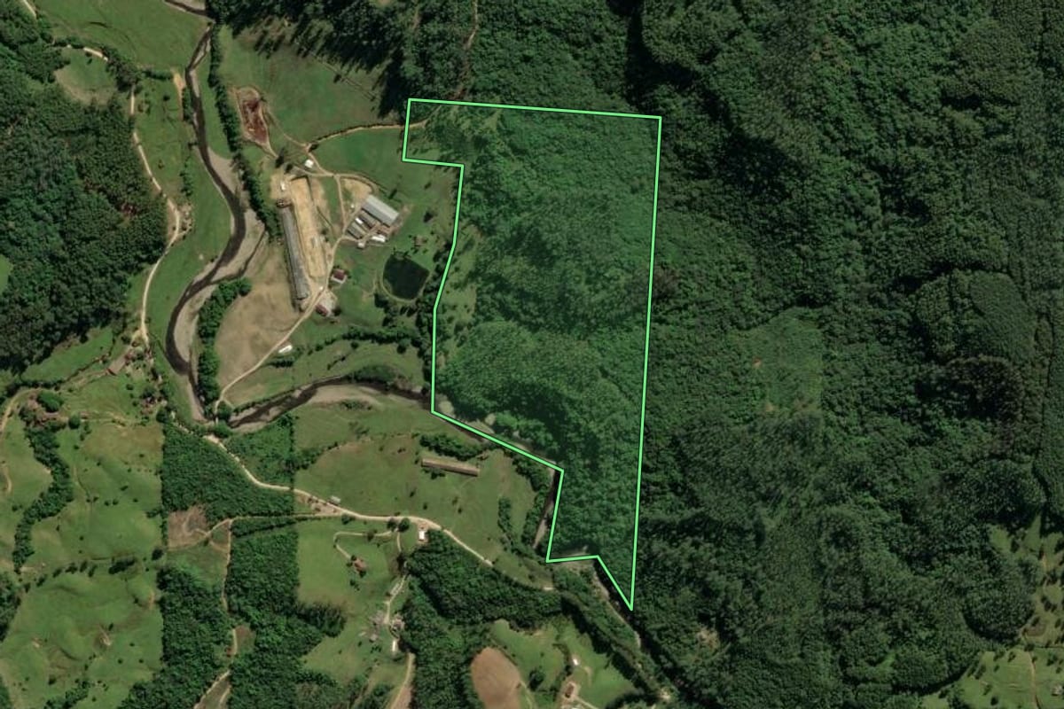 Imagem de satélite do imóvel rural em Orleans (SC), com o contorno declarado no CAR desenhado por cima.