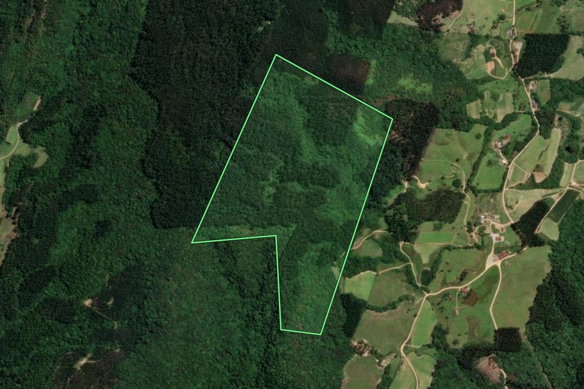 Imagem de satélite do imóvel rural em Orleans (SC), com o contorno declarado no CAR desenhado por cima.