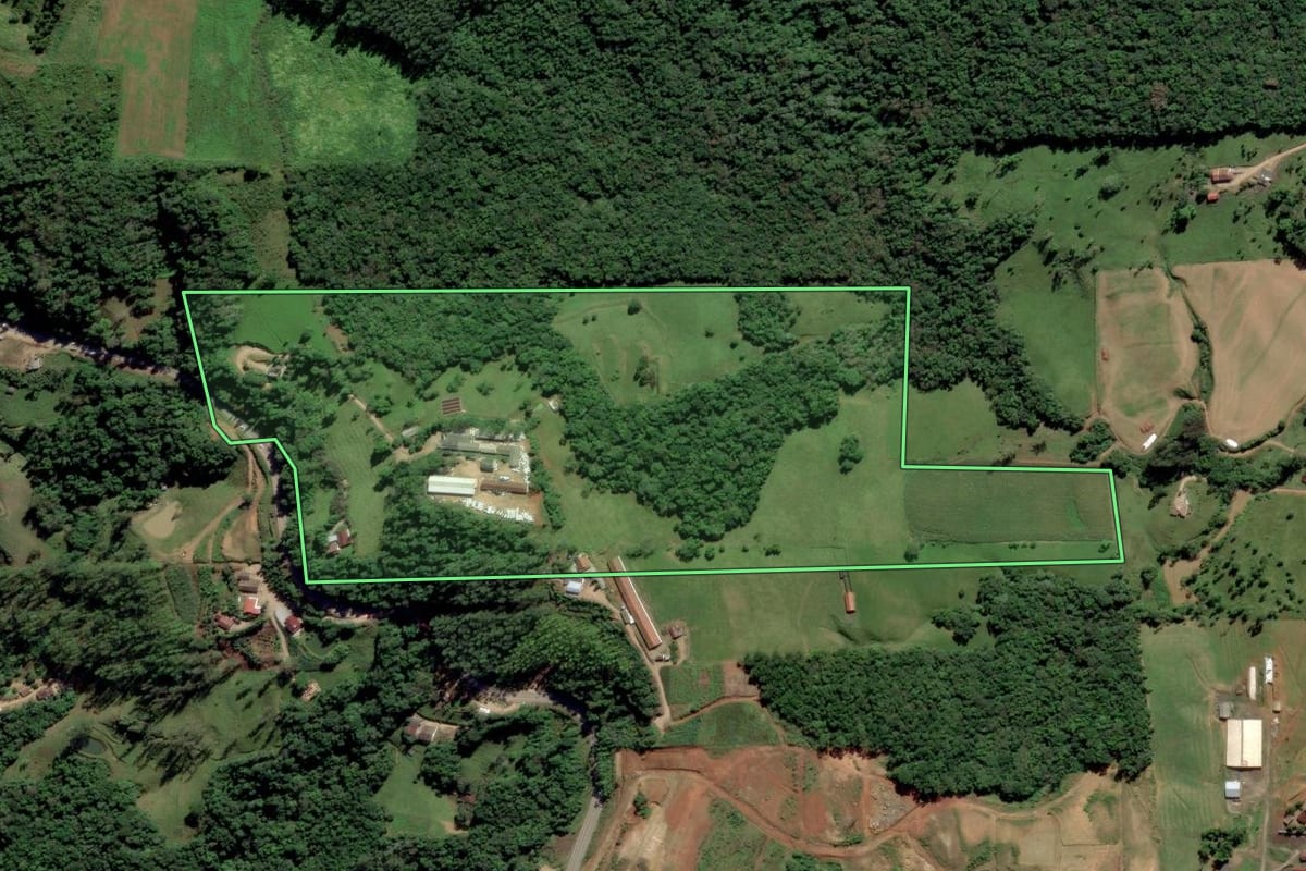 Imagem de satélite do imóvel rural em Orleans (SC), com o contorno declarado no CAR desenhado por cima.