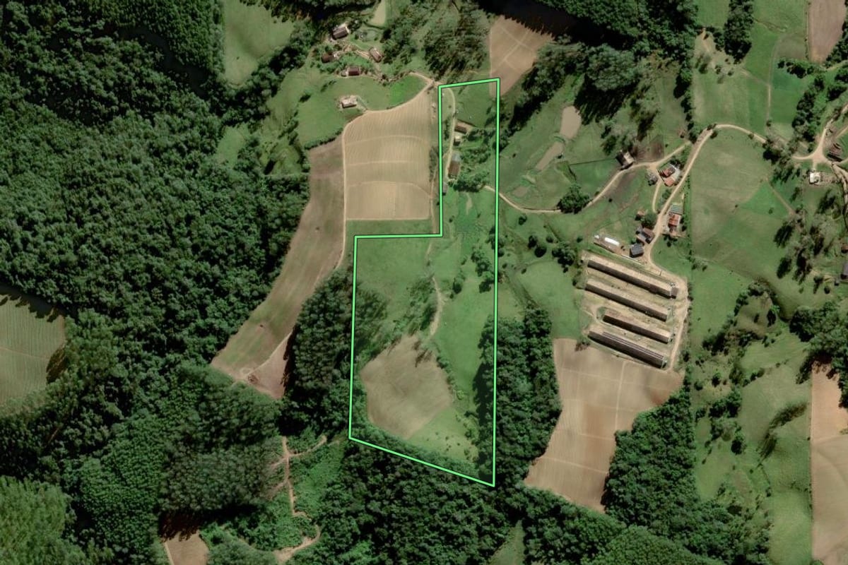 Imagem de satélite do imóvel rural em Orleans (SC), com o contorno declarado no CAR desenhado por cima.