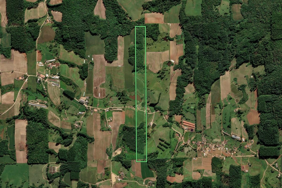 Imagem de satélite do imóvel rural em Orleans (SC), com o contorno declarado no CAR desenhado por cima.