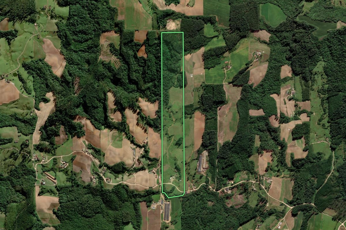 Imagem de satélite do imóvel rural em Orleans (SC), com o contorno declarado no CAR desenhado por cima.