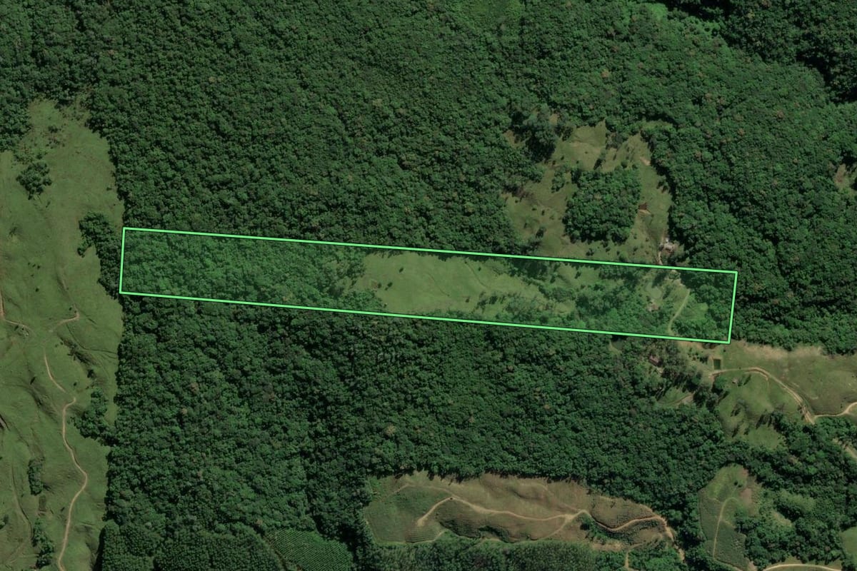 Imagem de satélite do imóvel rural em Orleans (SC), com o contorno declarado no CAR desenhado por cima.