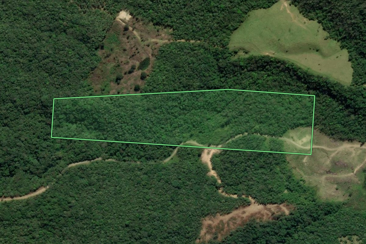 Imagem de satélite do imóvel rural em Orleans (SC), com o contorno declarado no CAR desenhado por cima.