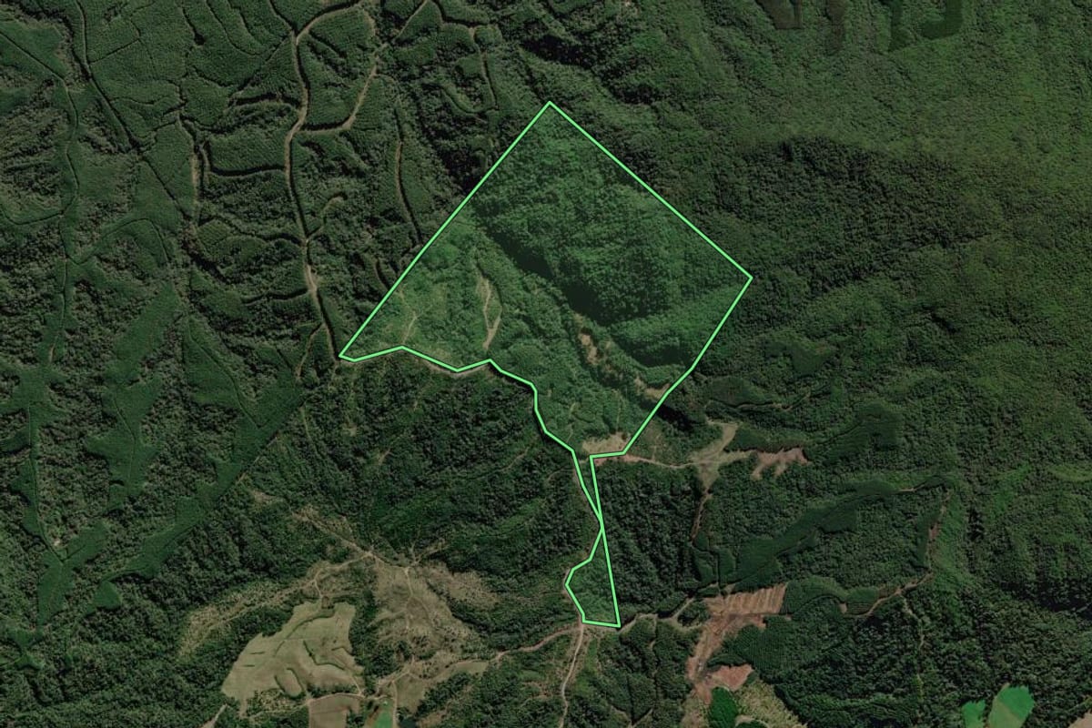 Imagem de satélite do imóvel rural em Otacílio Costa (SC), com o contorno declarado no CAR desenhado por cima.