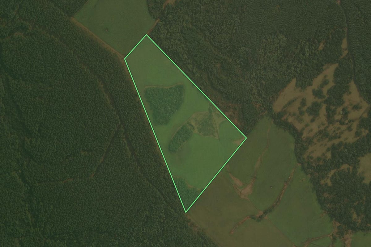 Imagem de satélite do imóvel rural em Otacílio Costa (SC), com o contorno declarado no CAR desenhado por cima.