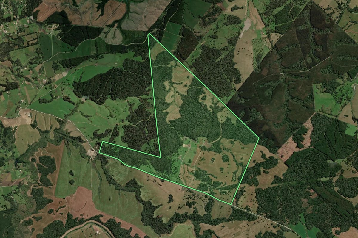 Imagem de satélite do imóvel rural em Otacílio Costa (SC), com o contorno declarado no CAR desenhado por cima.