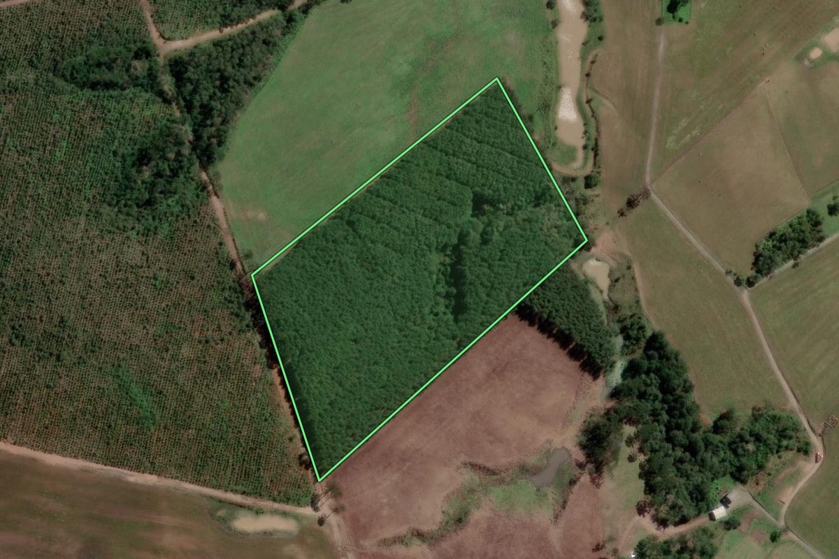 Imagem de satélite do imóvel rural em Otacílio Costa (SC), com o contorno declarado no CAR desenhado por cima.