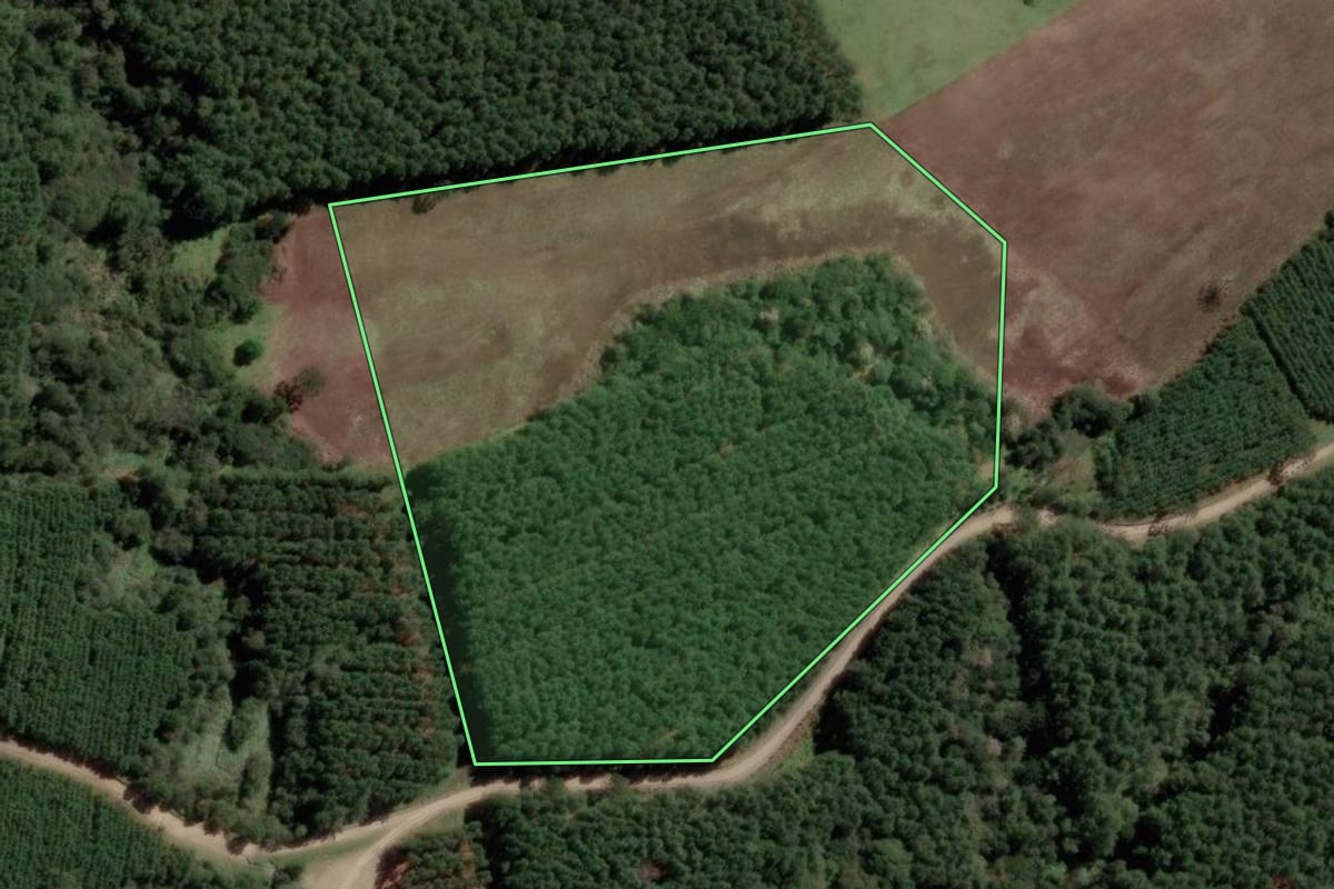 Imagem de satélite do imóvel rural em Otacílio Costa (SC), com o contorno declarado no CAR desenhado por cima.