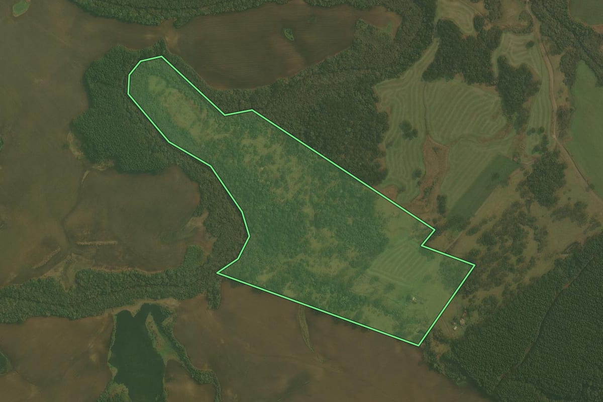 Imagem de satélite do imóvel rural em Otacílio Costa (SC), com o contorno declarado no CAR desenhado por cima.