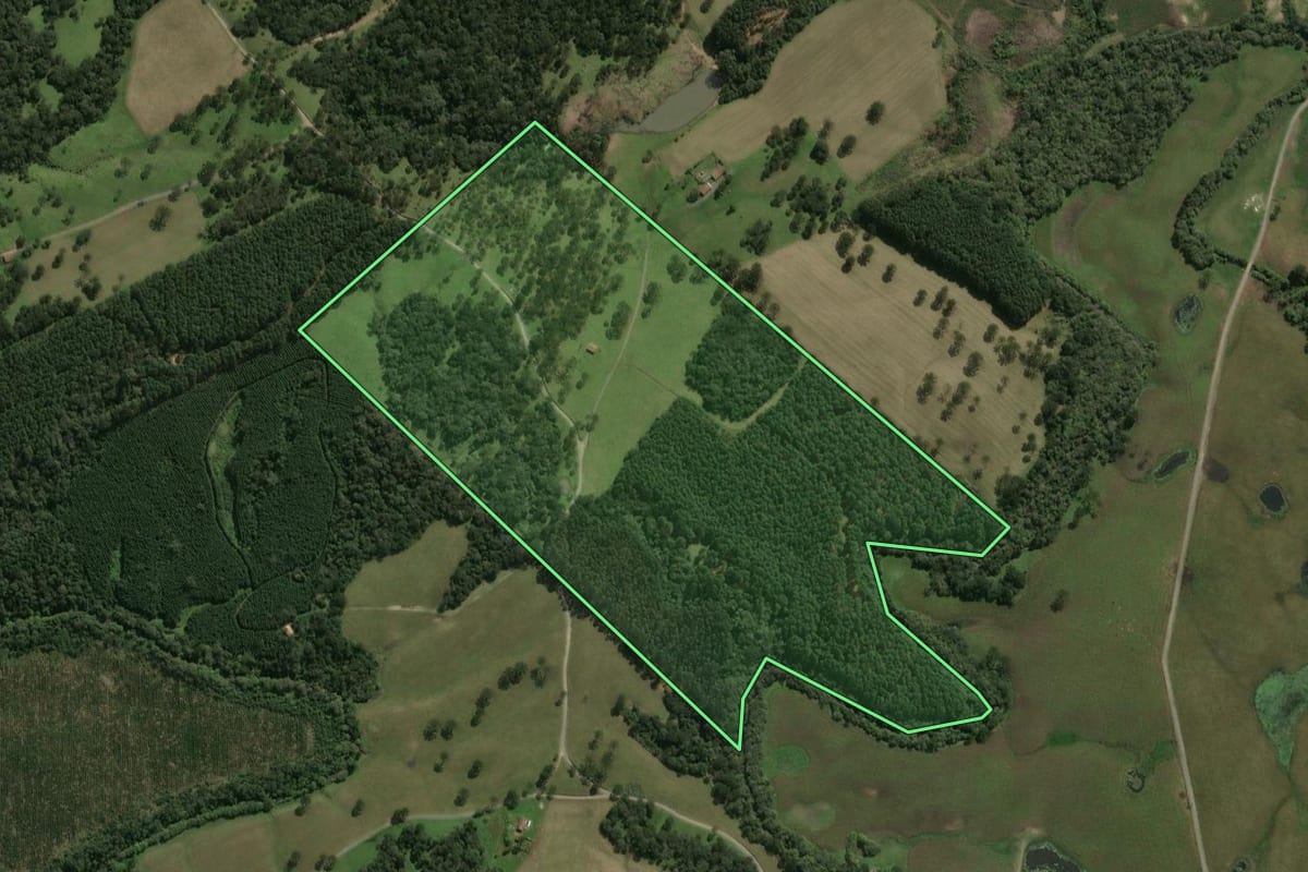 Imagem de satélite do imóvel rural em Otacílio Costa (SC), com o contorno declarado no CAR desenhado por cima.