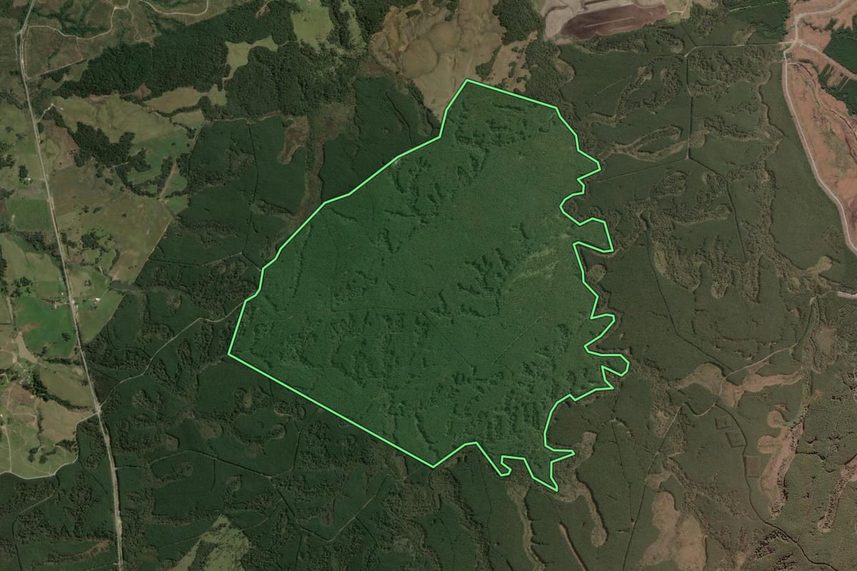 Imagem de satélite do imóvel rural em Otacílio Costa (SC), com o contorno declarado no CAR desenhado por cima.