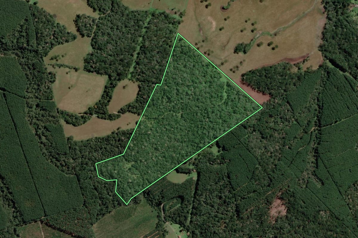 Imagem de satélite do imóvel rural em Otacílio Costa (SC), com o contorno declarado no CAR desenhado por cima.