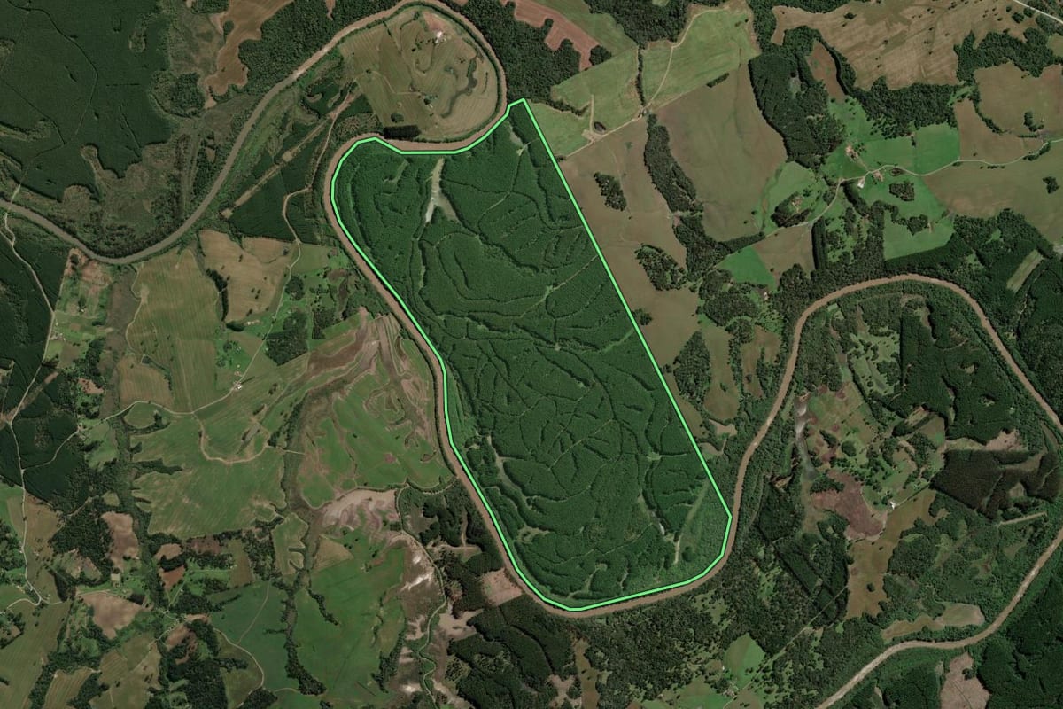 Imagem de satélite do imóvel rural em Otacílio Costa (SC), com o contorno declarado no CAR desenhado por cima.