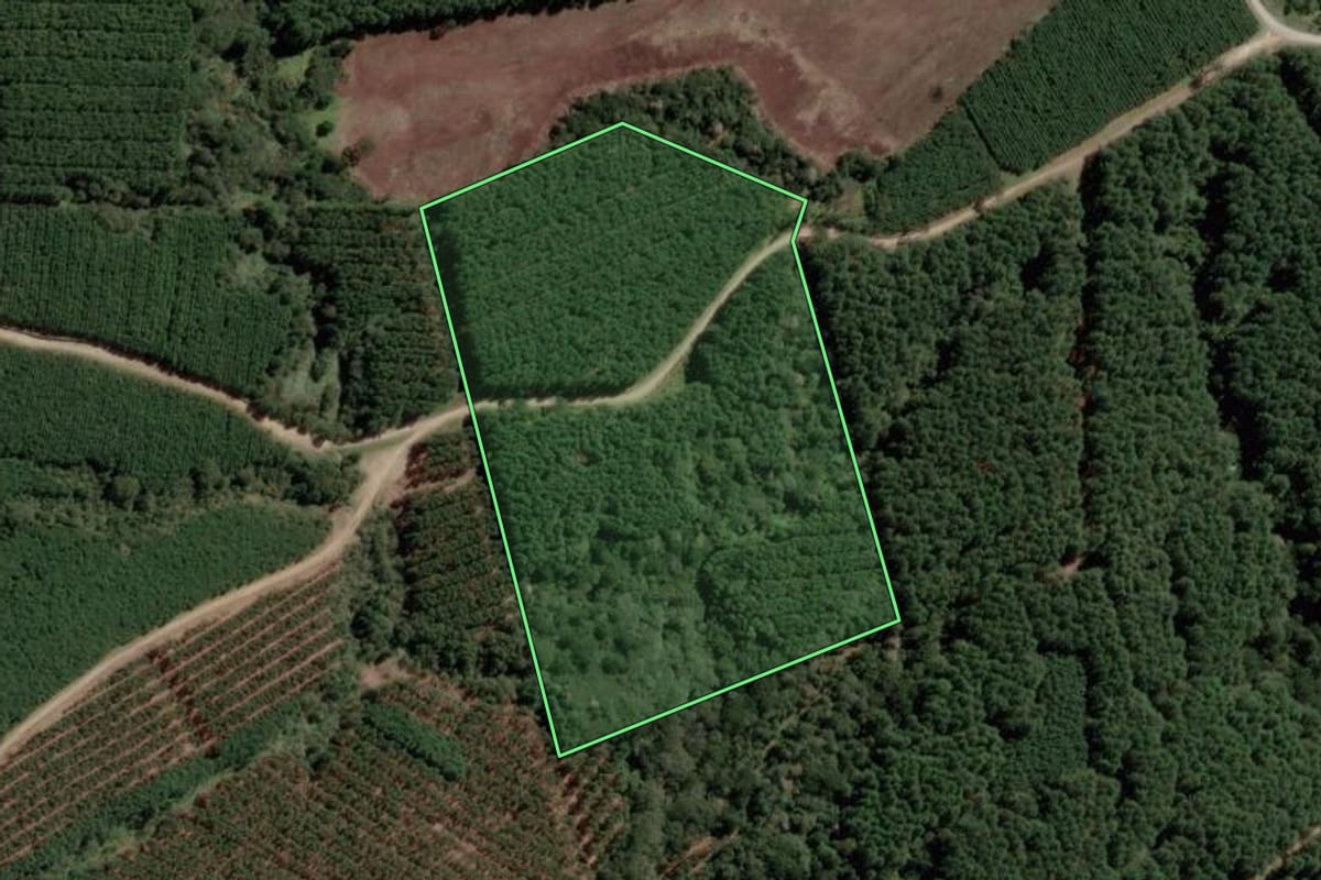 Imagem de satélite do imóvel rural em Otacílio Costa (SC), com o contorno declarado no CAR desenhado por cima.