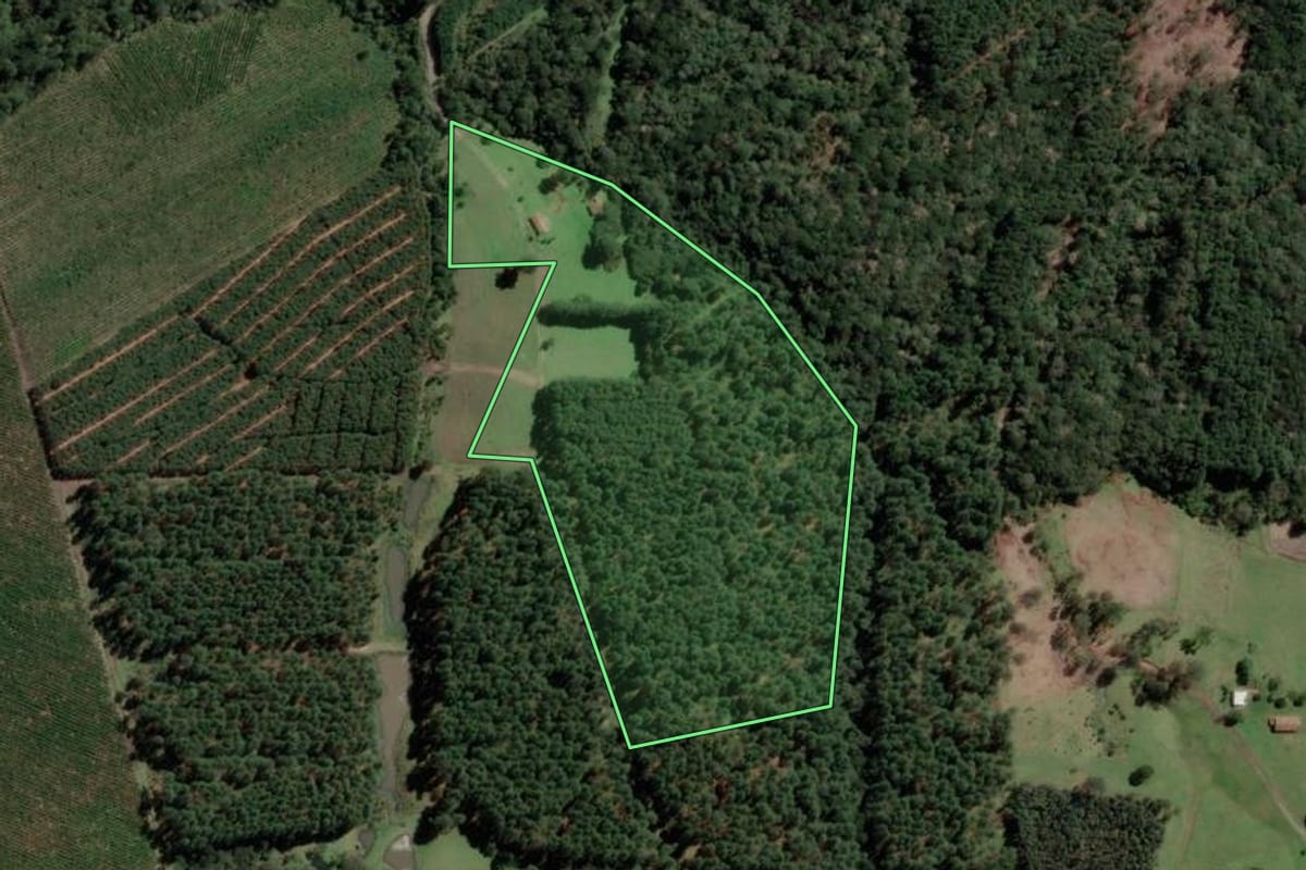 Imagem de satélite do imóvel rural em Otacílio Costa (SC), com o contorno declarado no CAR desenhado por cima.