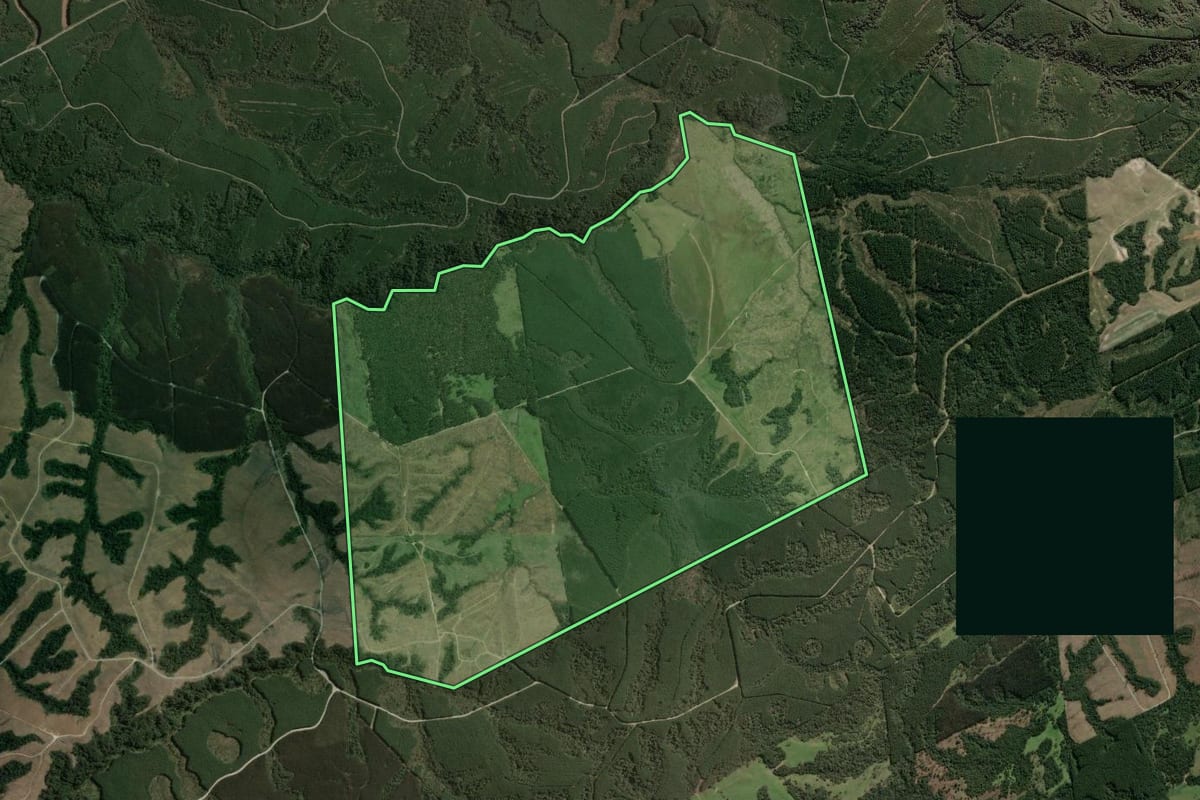 Imagem de satélite do imóvel rural em Otacílio Costa (SC), com o contorno declarado no CAR desenhado por cima.