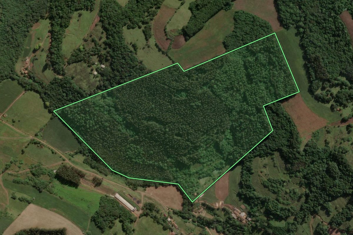 Imagem de satélite do imóvel rural em Ouro (SC), com o contorno declarado no CAR desenhado por cima.