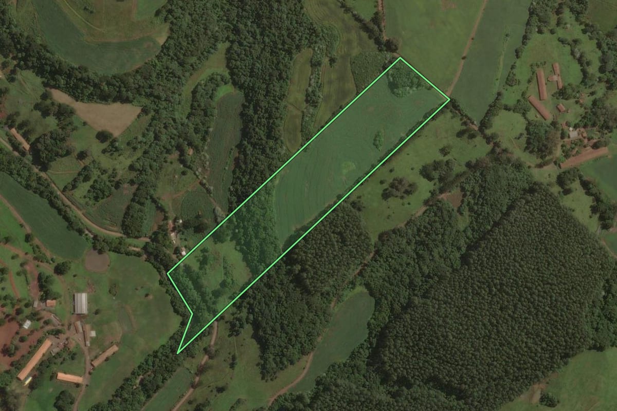 Imagem de satélite do imóvel rural em Ouro (SC), com o contorno declarado no CAR desenhado por cima.