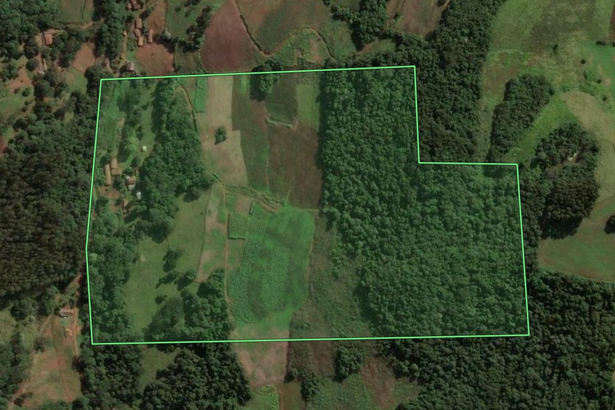 Imagem de satélite do imóvel rural em Ouro (SC), com o contorno declarado no CAR desenhado por cima.