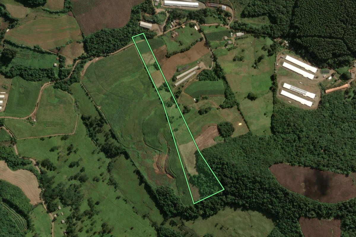 Imagem de satélite do imóvel rural em Ouro (SC), com o contorno declarado no CAR desenhado por cima.