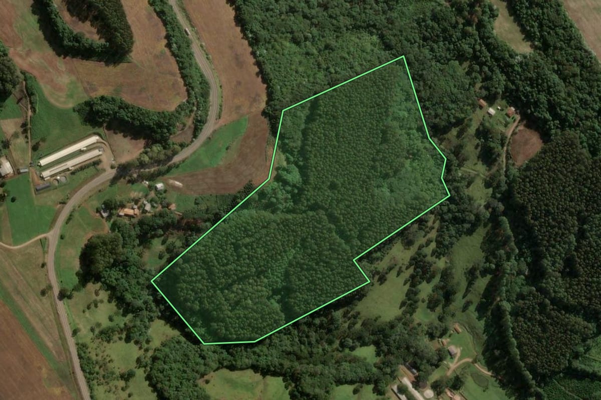 Imagem de satélite do imóvel rural em Ouro (SC), com o contorno declarado no CAR desenhado por cima.