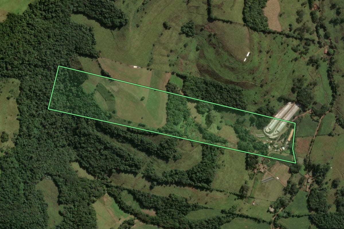 Imagem de satélite do imóvel rural em Ouro (SC), com o contorno declarado no CAR desenhado por cima.