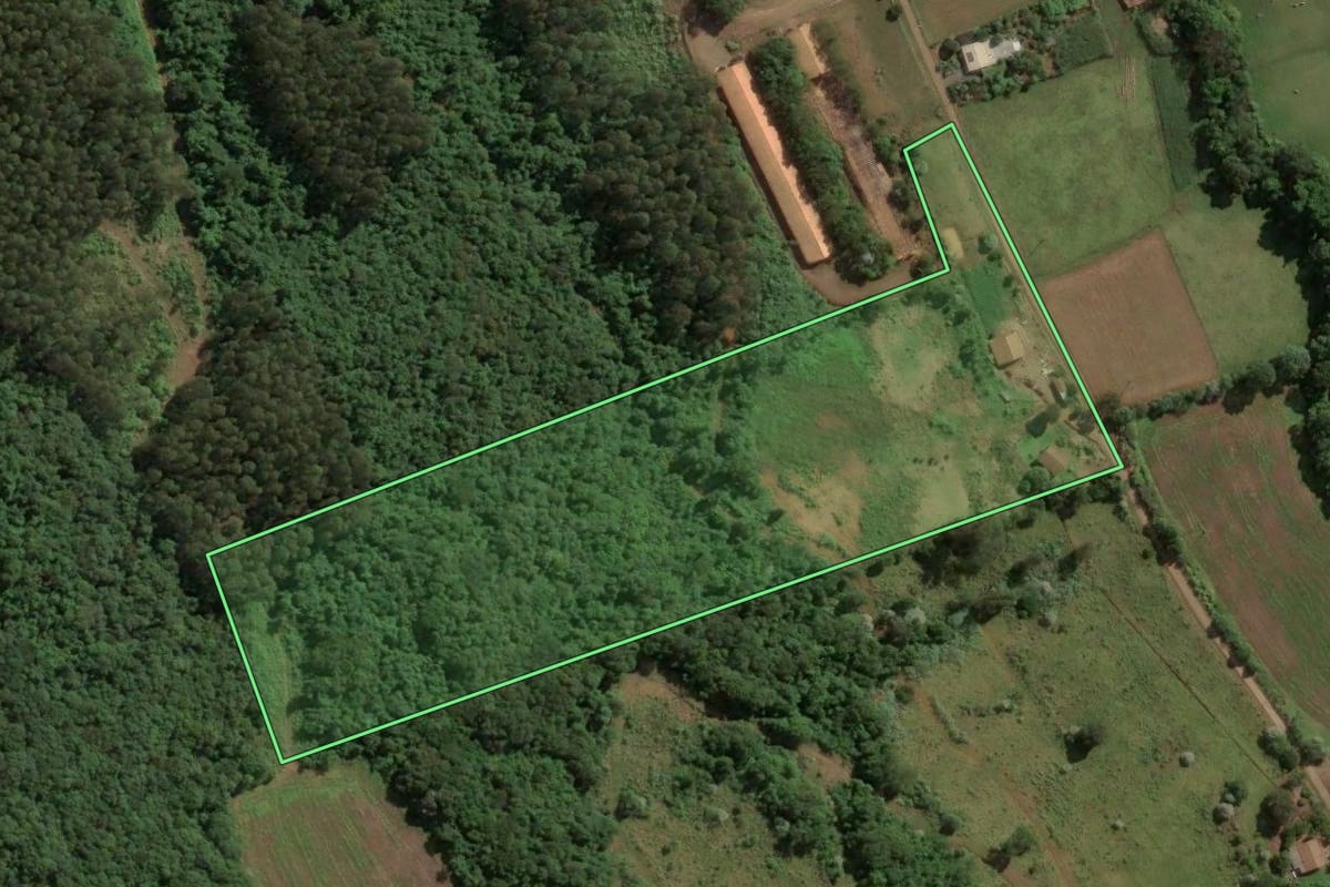 Imagem de satélite do imóvel rural em Ouro (SC), com o contorno declarado no CAR desenhado por cima.