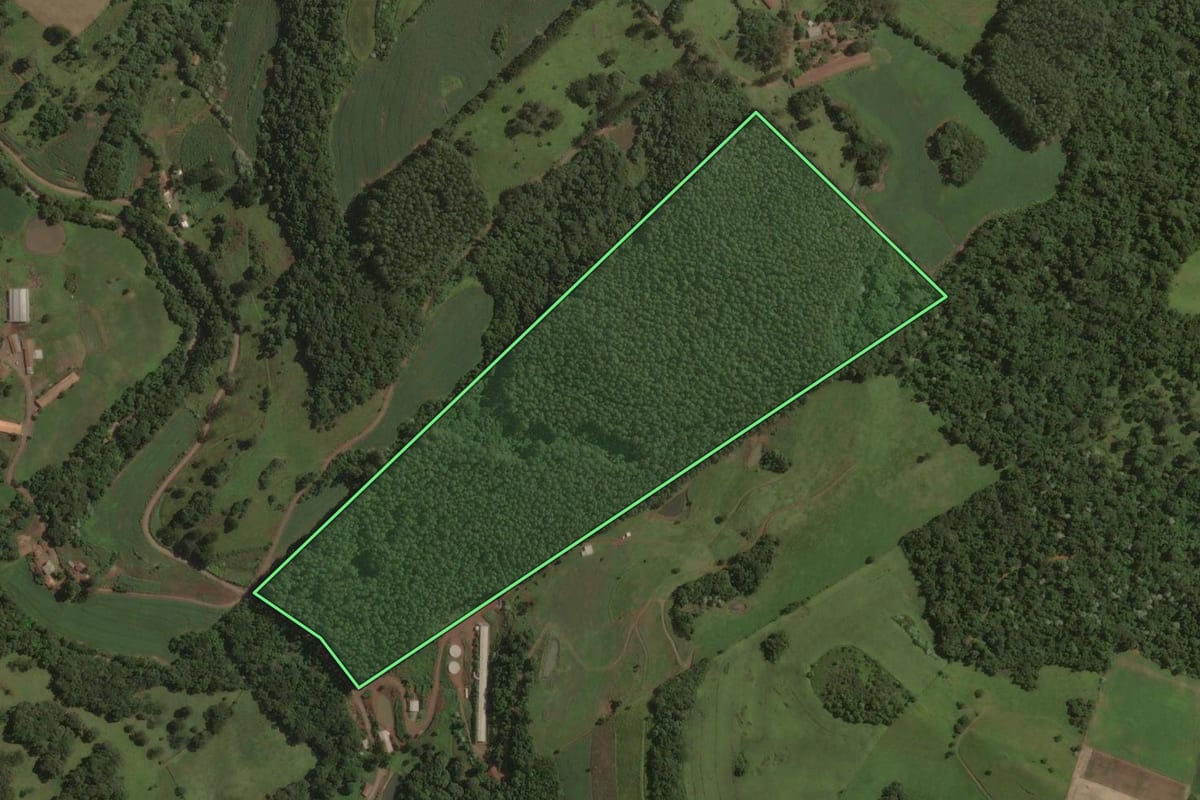Imagem de satélite do imóvel rural em Ouro (SC), com o contorno declarado no CAR desenhado por cima.