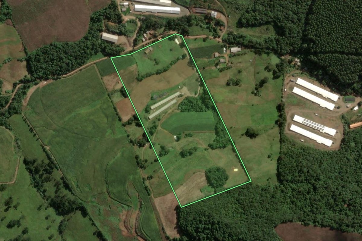 Imagem de satélite do imóvel rural em Ouro (SC), com o contorno declarado no CAR desenhado por cima.