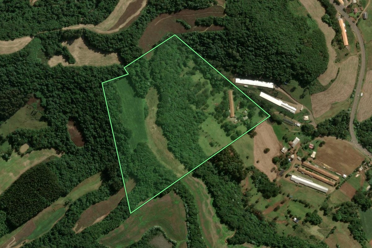 Imagem de satélite do imóvel rural em Ouro (SC), com o contorno declarado no CAR desenhado por cima.