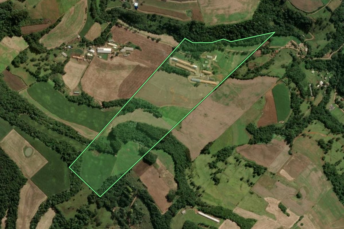 Imagem de satélite do imóvel rural em Ouro (SC), com o contorno declarado no CAR desenhado por cima.