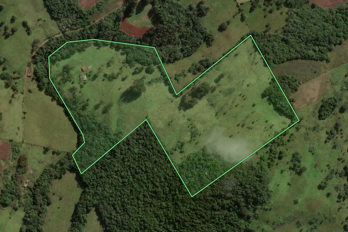 Imagem de satélite do imóvel rural em Ouro (SC), com o contorno declarado no CAR desenhado por cima.