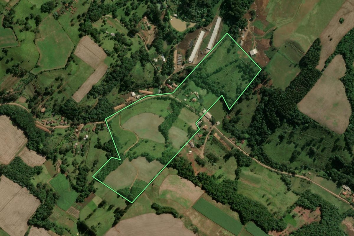 Imagem de satélite do imóvel rural em Ouro (SC), com o contorno declarado no CAR desenhado por cima.