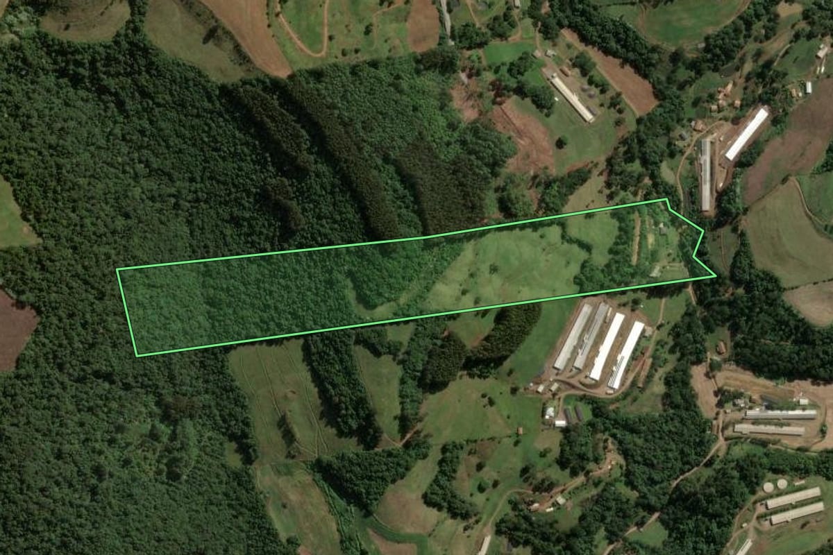 Imagem de satélite do imóvel rural em Ouro (SC), com o contorno declarado no CAR desenhado por cima.