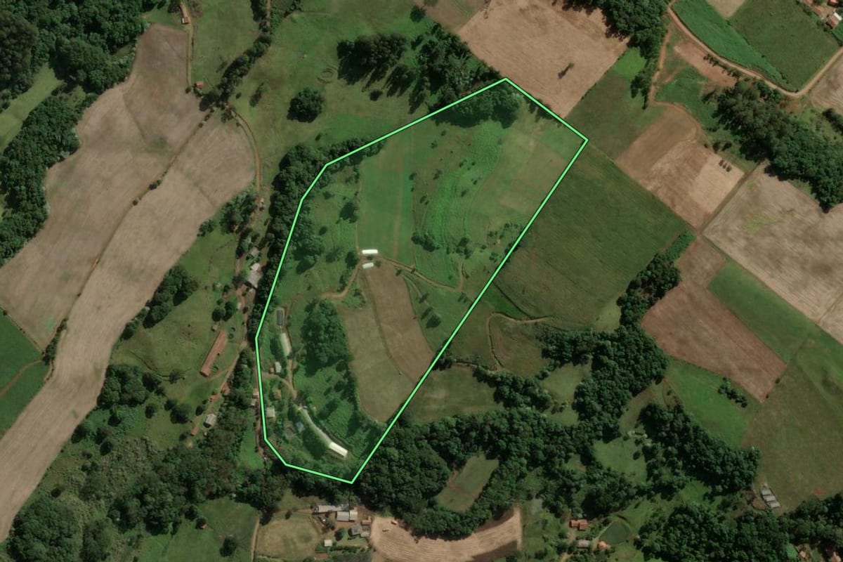 Imagem de satélite do imóvel rural em Ouro (SC), com o contorno declarado no CAR desenhado por cima.