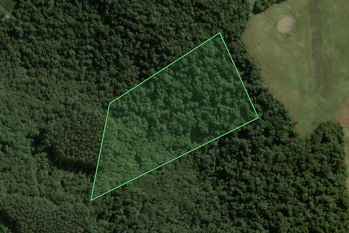 Imagem de satélite do imóvel rural em Ouro (SC), com o contorno declarado no CAR desenhado por cima.