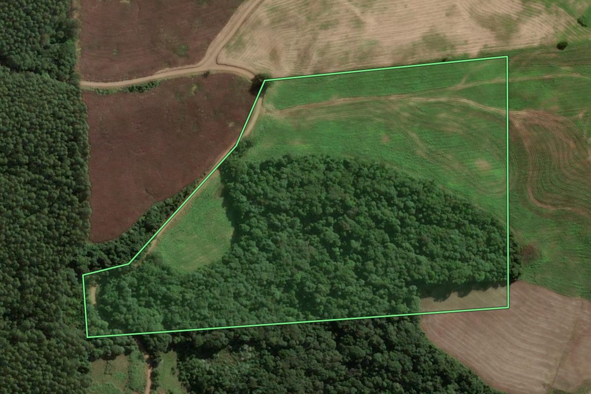 Imagem de satélite do imóvel rural em Ouro (SC), com o contorno declarado no CAR desenhado por cima.