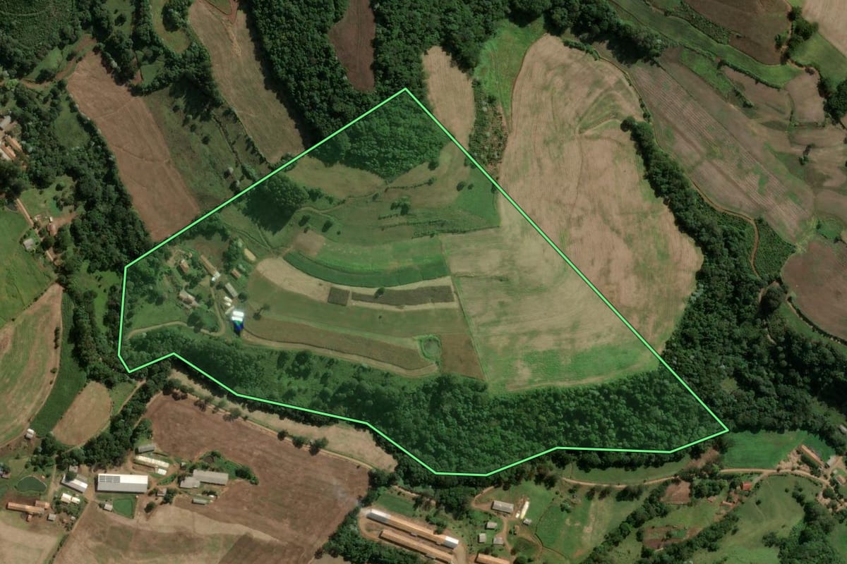 Imagem de satélite do imóvel rural em Ouro (SC), com o contorno declarado no CAR desenhado por cima.