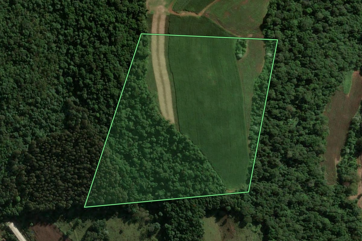 Imagem de satélite do imóvel rural em Ouro (SC), com o contorno declarado no CAR desenhado por cima.